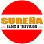 Radio Televisión Sureña