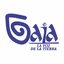 Gaia Radio