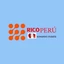 Radio Rico Peru
